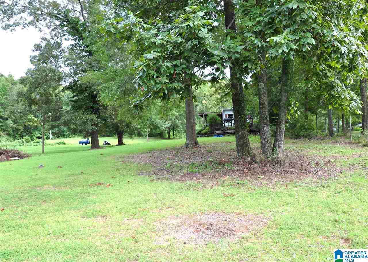 27 Lk Rdg Lane, Unit 2 AND PART OF 1 LOT 1 WIL Talladega, AL 35160 - Photo 2 of 5