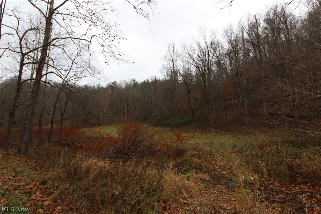 Wilson Run Road New Matamoras, OH 45767 - Photo 33 of 34 Gallery Image 33