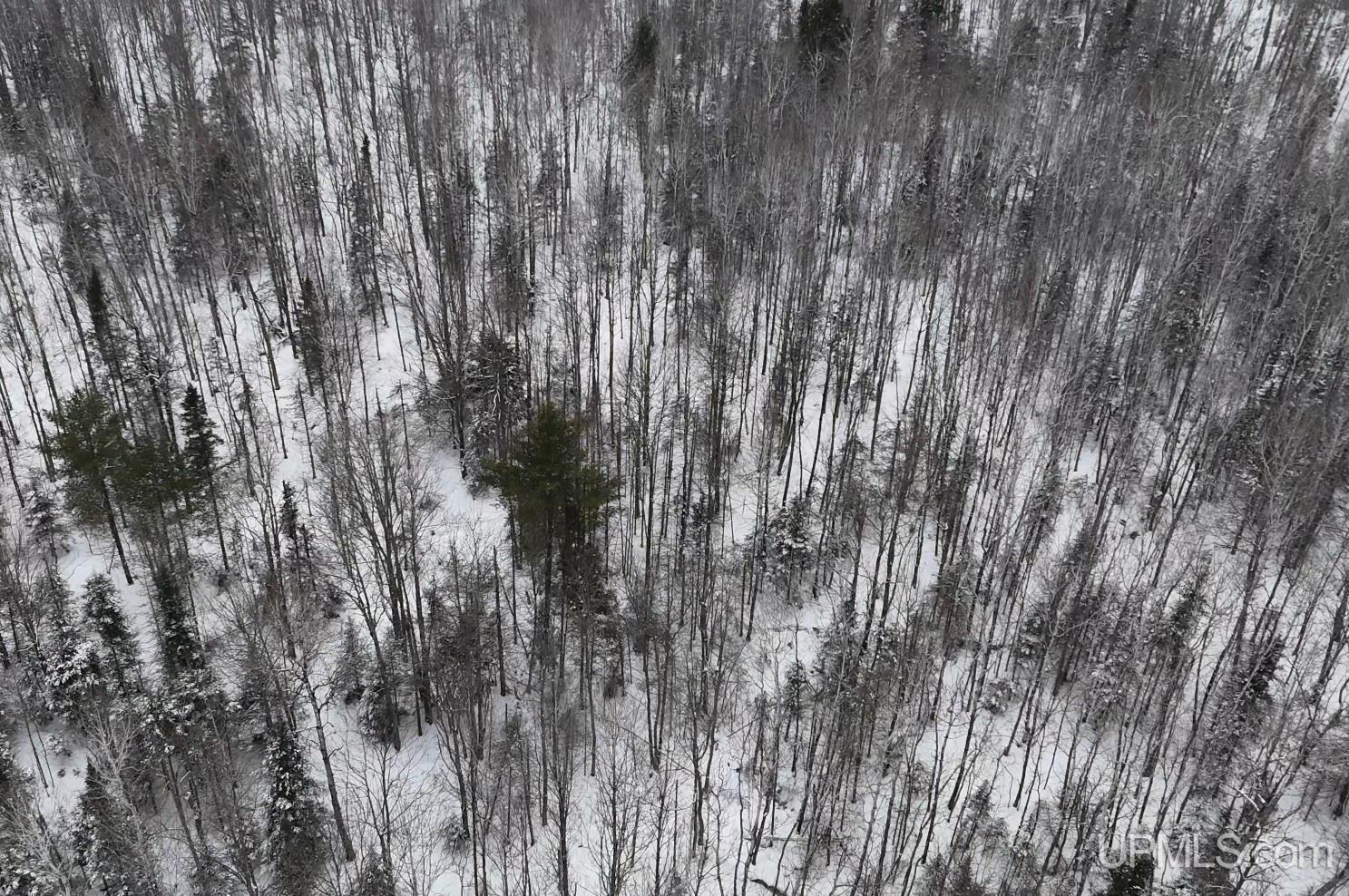 Tbdn75 Tapiola Road Chassell, MI 49916 - Photo 5 of 20 Gallery Image 5
