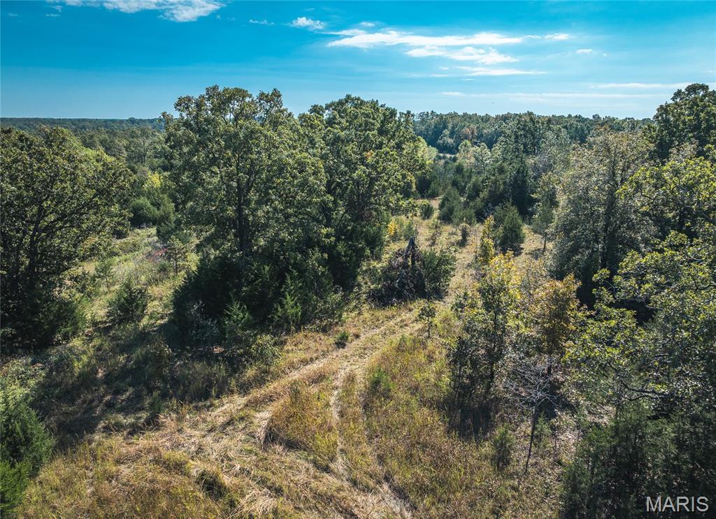 Lot 4 Clementine Road Newburg, MO 65550 - Photo 4 of 8