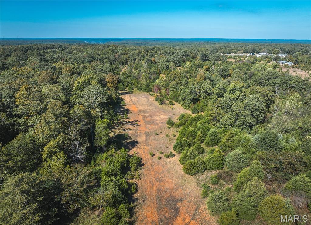Lot 4 Clementine Road Newburg, MO 65550 - Photo 8 of 8