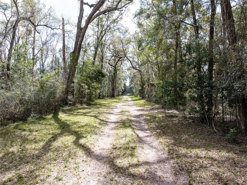 0 65th Place A Branford, FL 32008 - Photo 14 of 71