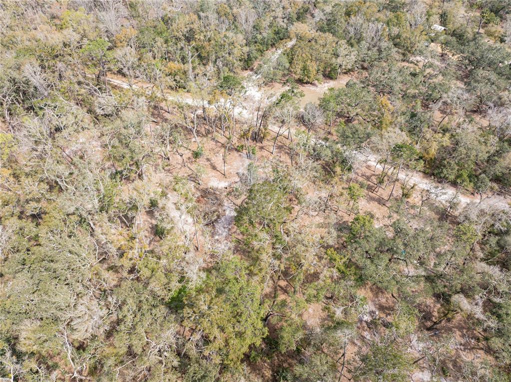 0 65th Place A Branford, FL 32008 - Photo 61 of 71