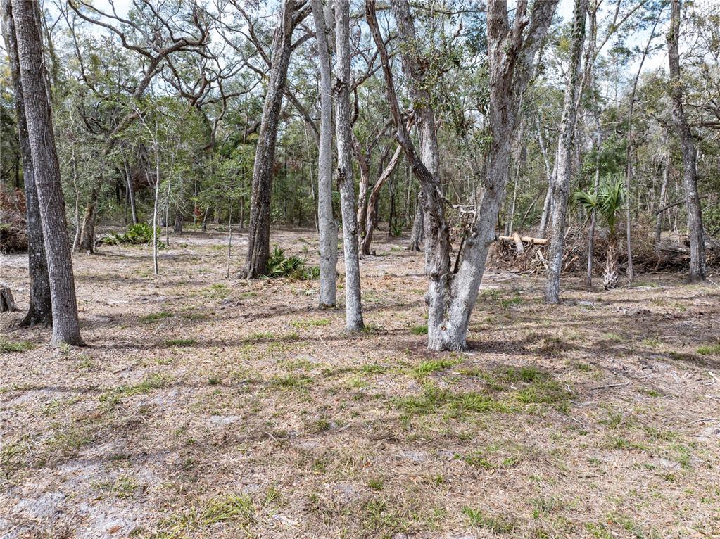 0 65th Place A Branford, FL 32008 - Photo 65 of 71