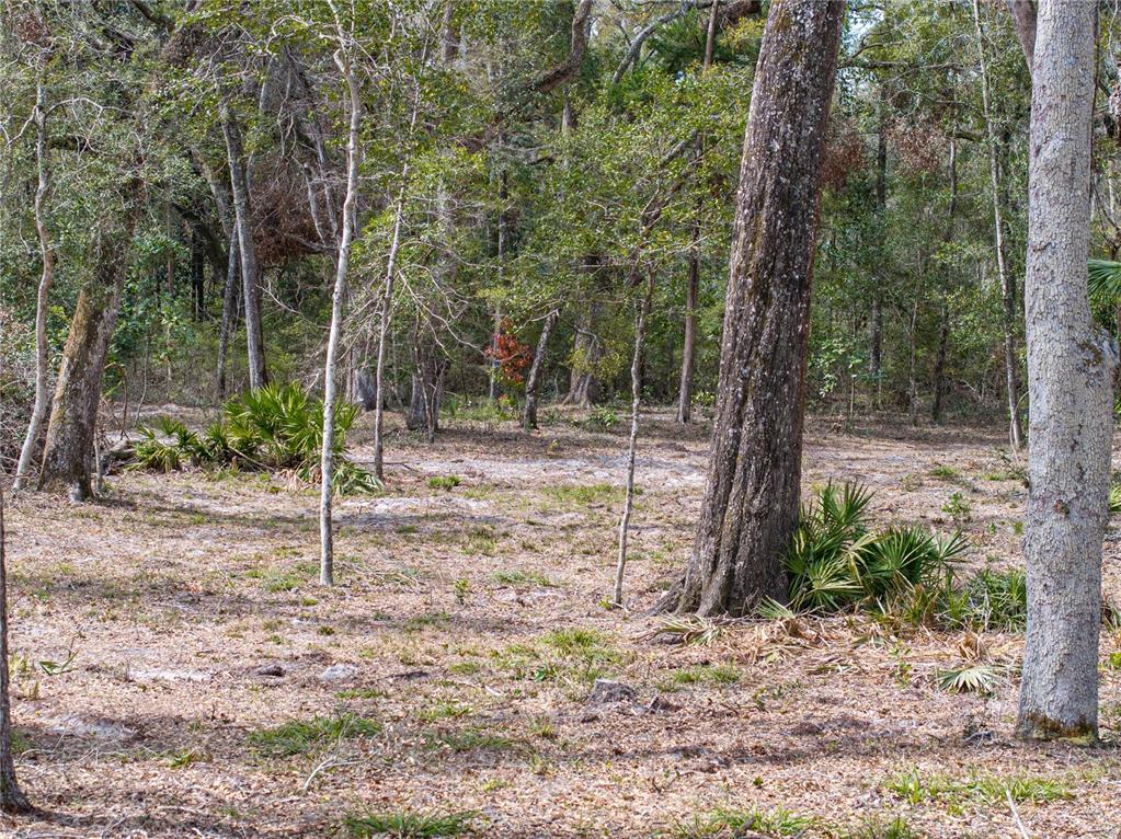 0 65th Place A Branford, FL 32008 - Photo 66 of 71