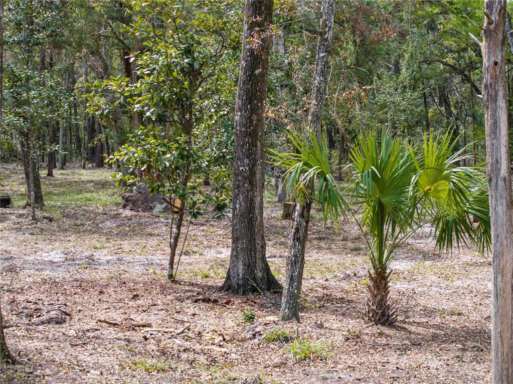 0 65th Place A Branford, FL 32008 - Photo 67 of 71