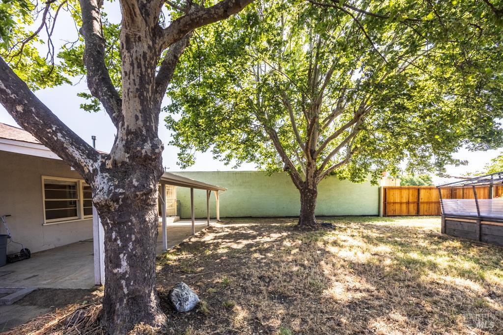 165 Luce Avenue Ukiah, CA 95482 - Photo 23 of 26 a view of a yard with large tree