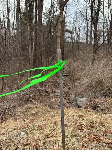 $250,000 | 56 Hubbardston Road, Princeton, MA 01541