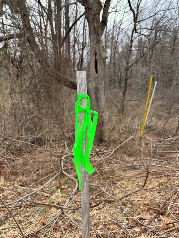 56 Hubbardston Road Princeton, MA 01541 - Photo 4 of 4