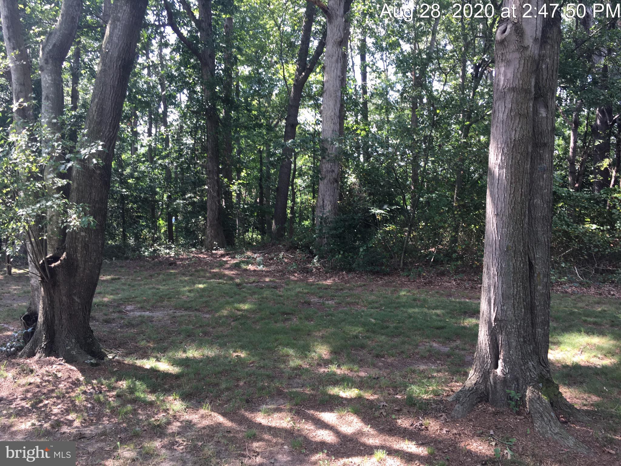 Lot 3 Winding Road Lincoln, DE 19960 - Photo 3 of 4 Gallery Image 3