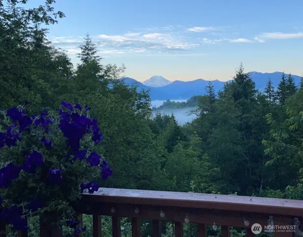 a view of a city and a mountain