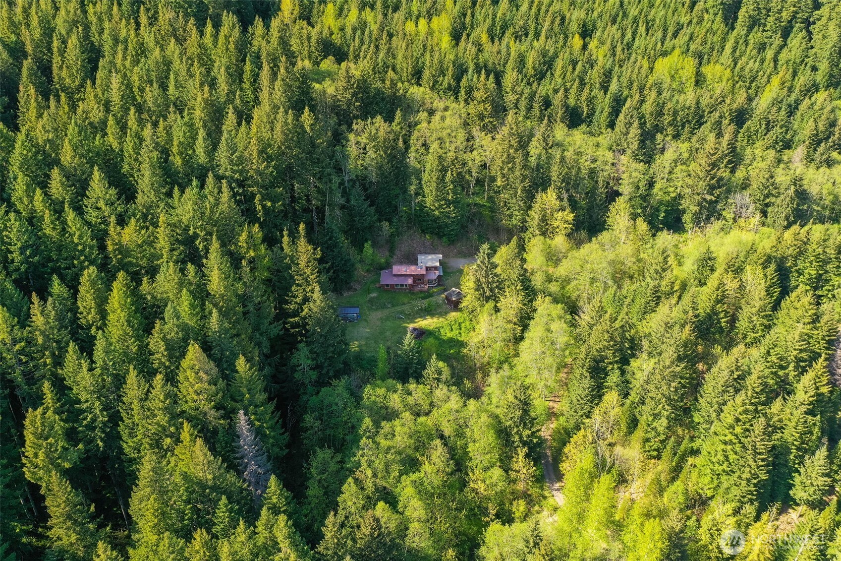 289 Long And Winding Road Randle, WA 98377 - Photo 38 of 40