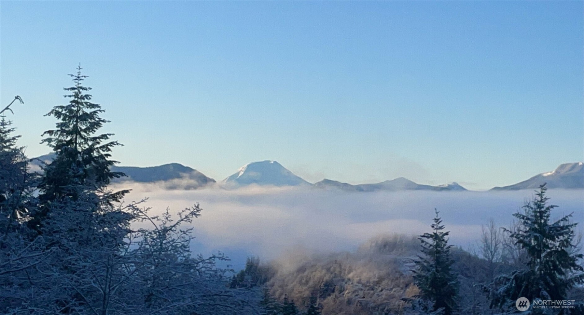 289 Long And Winding Road Randle, WA 98377 - Photo 40 of 40