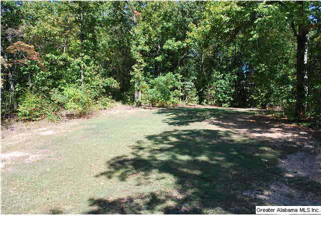 5877 McAshan Ridge Road McCalla, AL 35111 - Photo 26 of 32