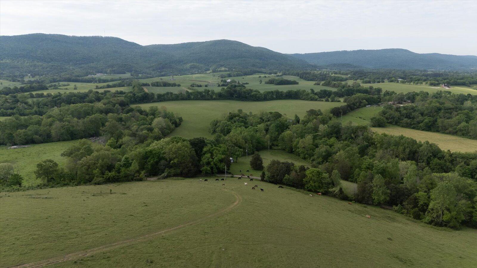 34 Mule Lane Pikeville, TN 37367 - Photo 12 of 87 12-US 127 Pikeville 510 Acres-12