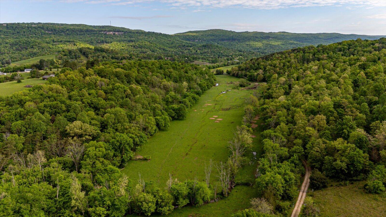 34 Mule Lane Pikeville, TN 37367 - Photo 15 of 87 15-US 127 Pikeville 510 Acres-15