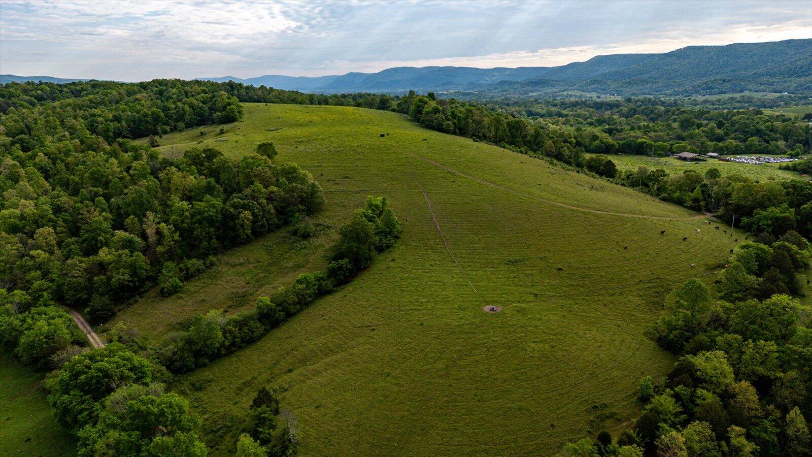 34 Mule Lane Pikeville, TN 37367 - Photo 16 of 87 16-US 127 Pikeville 510 Acres-16