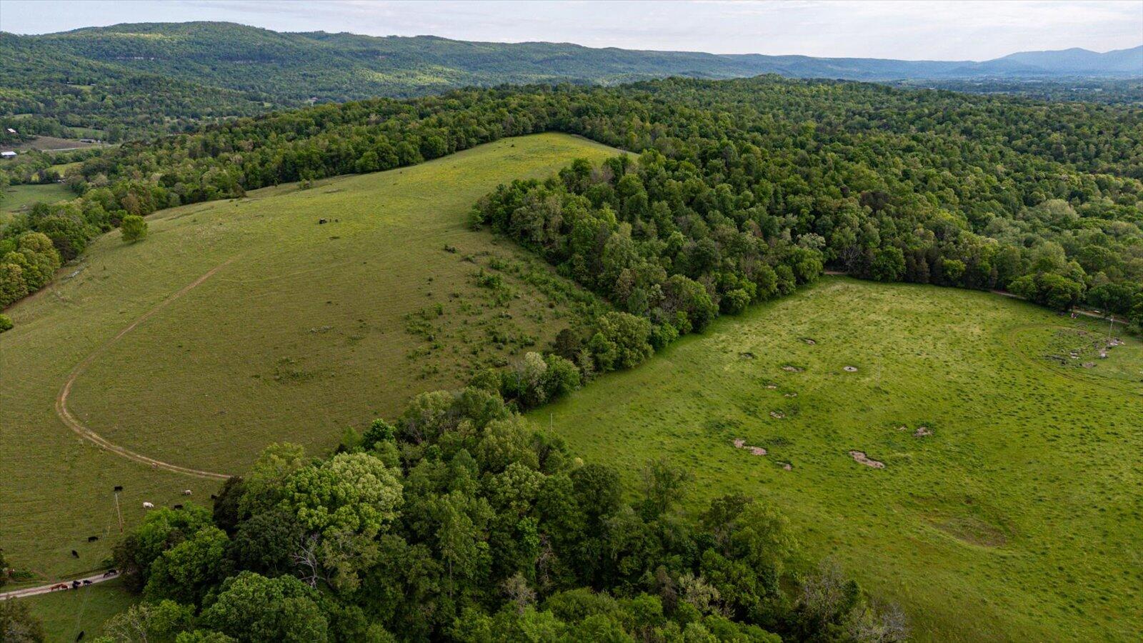 34 Mule Lane Pikeville, TN 37367 - Photo 18 of 87 18-US 127 Pikeville 510 Acres-18