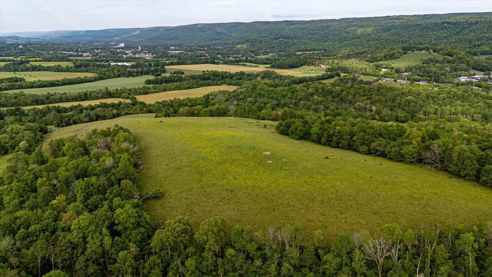 34 Mule Lane Pikeville, TN 37367 - Photo 20 of 87 20-US 127 Pikeville 510 Acres-20