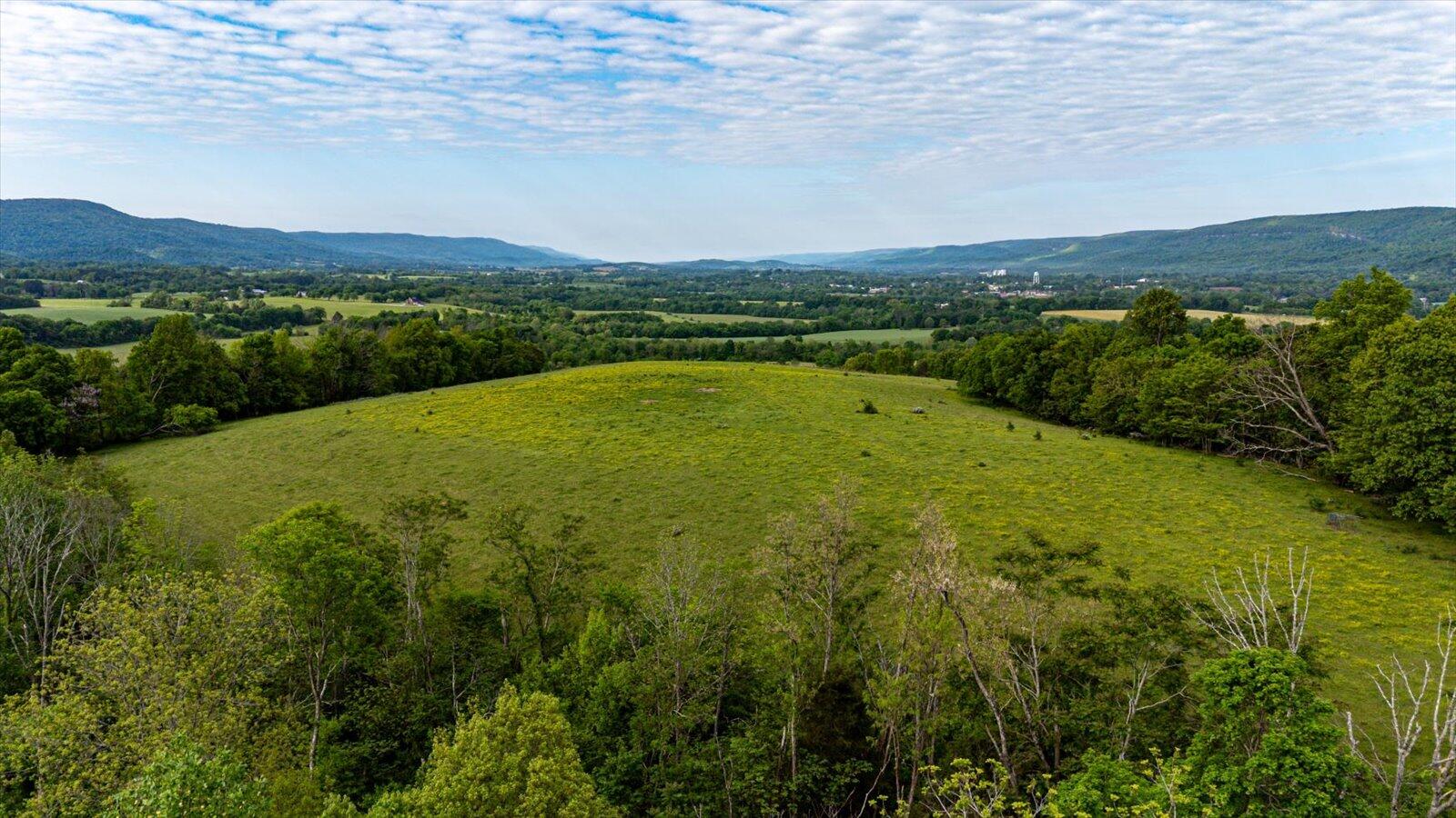 34 Mule Lane Pikeville, TN 37367 - Photo 21 of 87 21-US 127 Pikeville 510 Acres-21