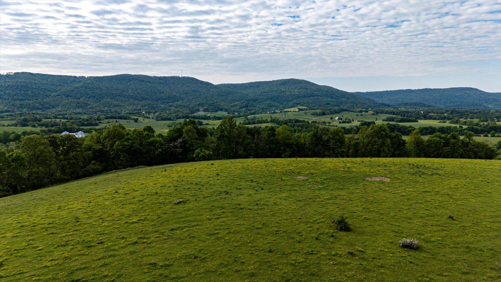 34 Mule Lane Pikeville, TN 37367 - Photo 22 of 87 22-US 127 Pikeville 510 Acres-22