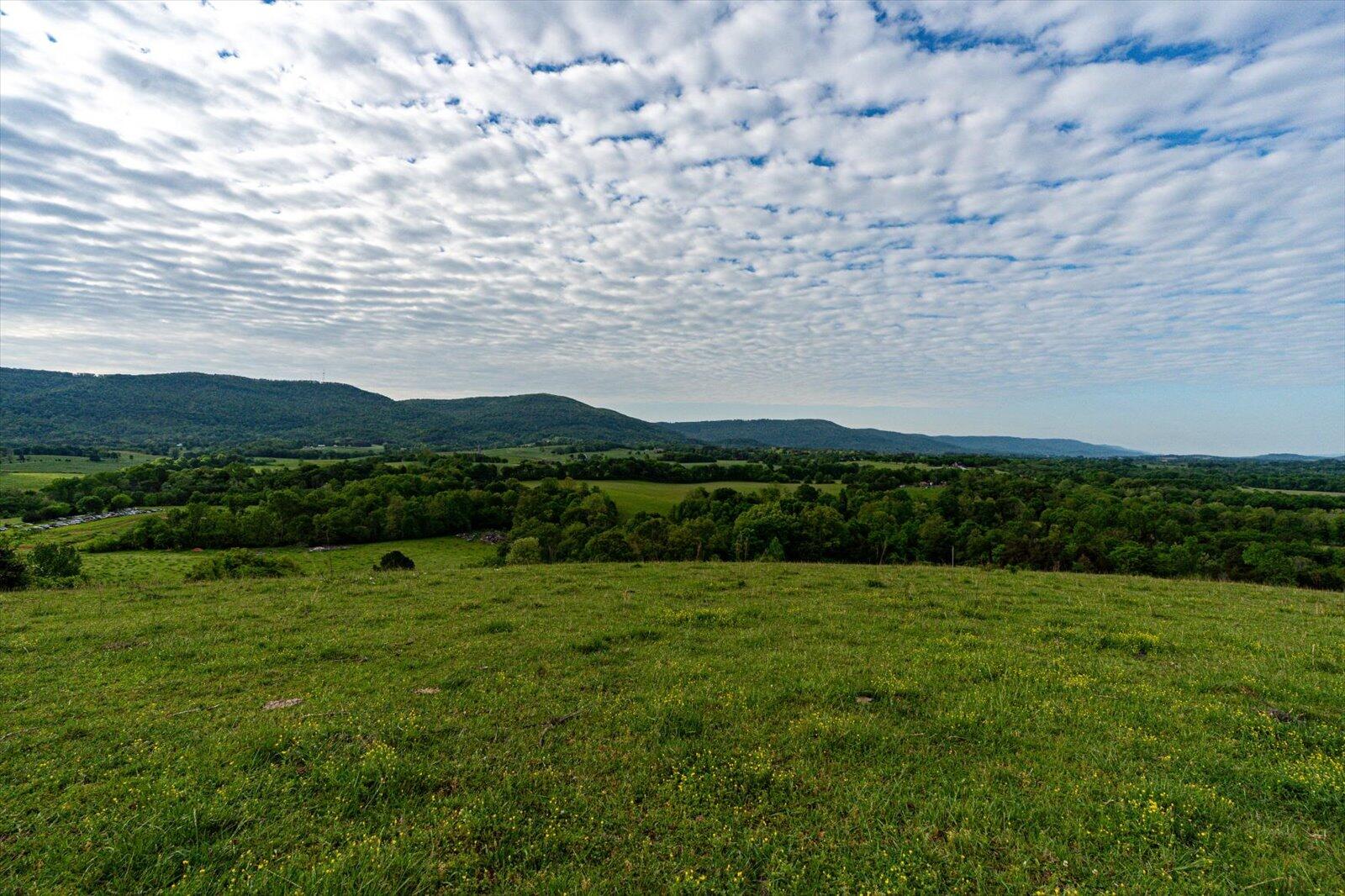 34 Mule Lane Pikeville, TN 37367 - Photo 23 of 87 23-US 127 Pikeville 510 Acres-23