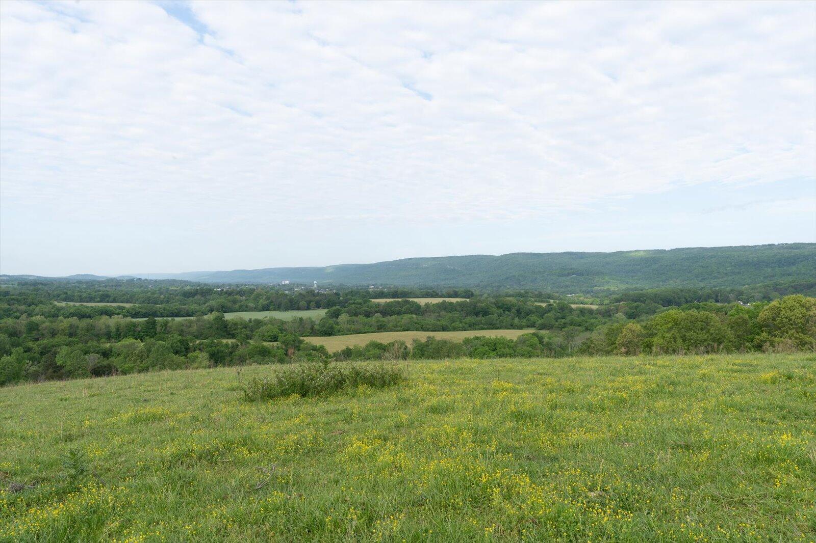34 Mule Lane Pikeville, TN 37367 - Photo 24 of 87 24-US 127 Pikeville 510 Acres-24