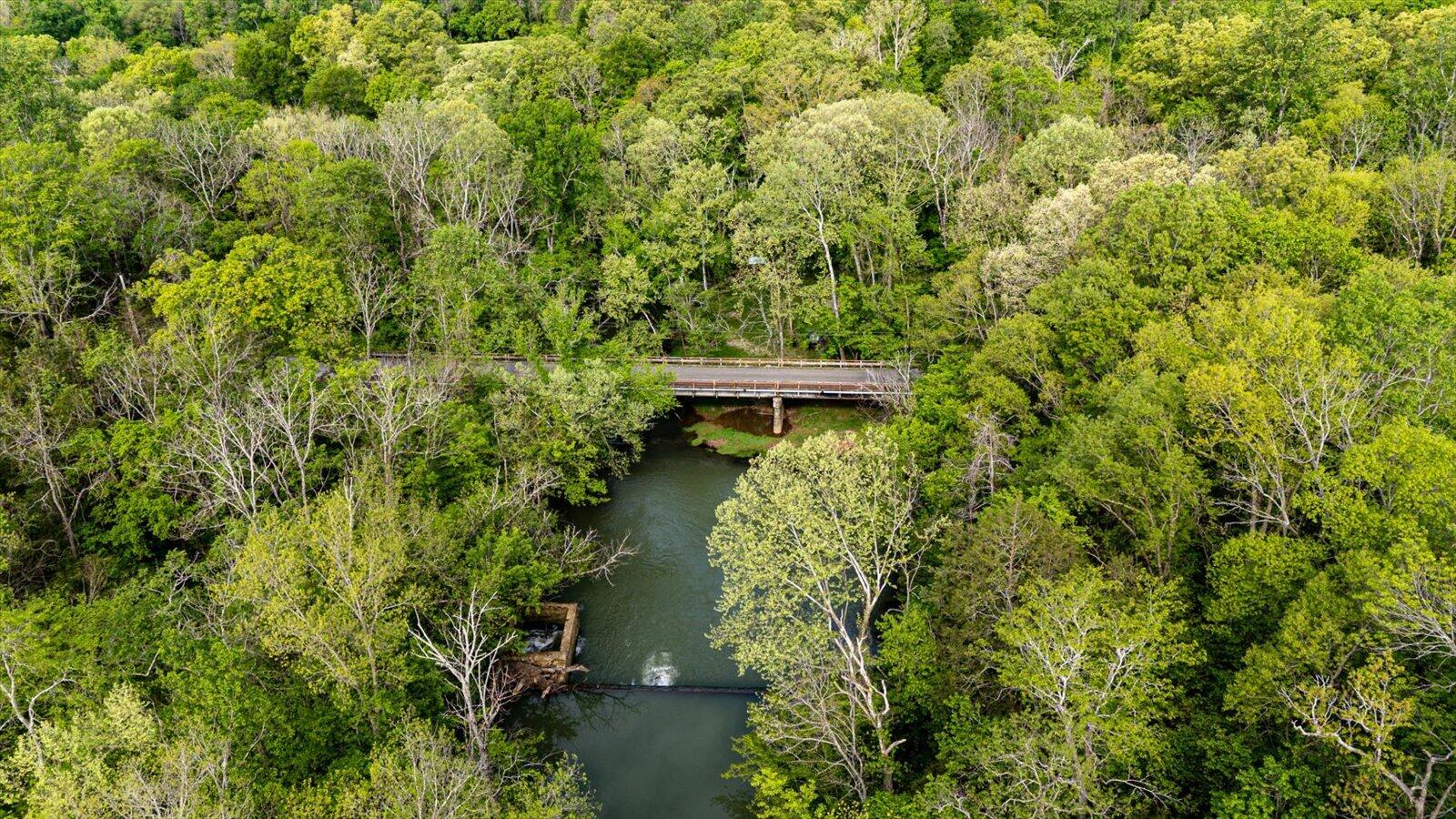 34 Mule Lane Pikeville, TN 37367 - Photo 26 of 87 26-US 127 Pikeville 510 Acres-26
