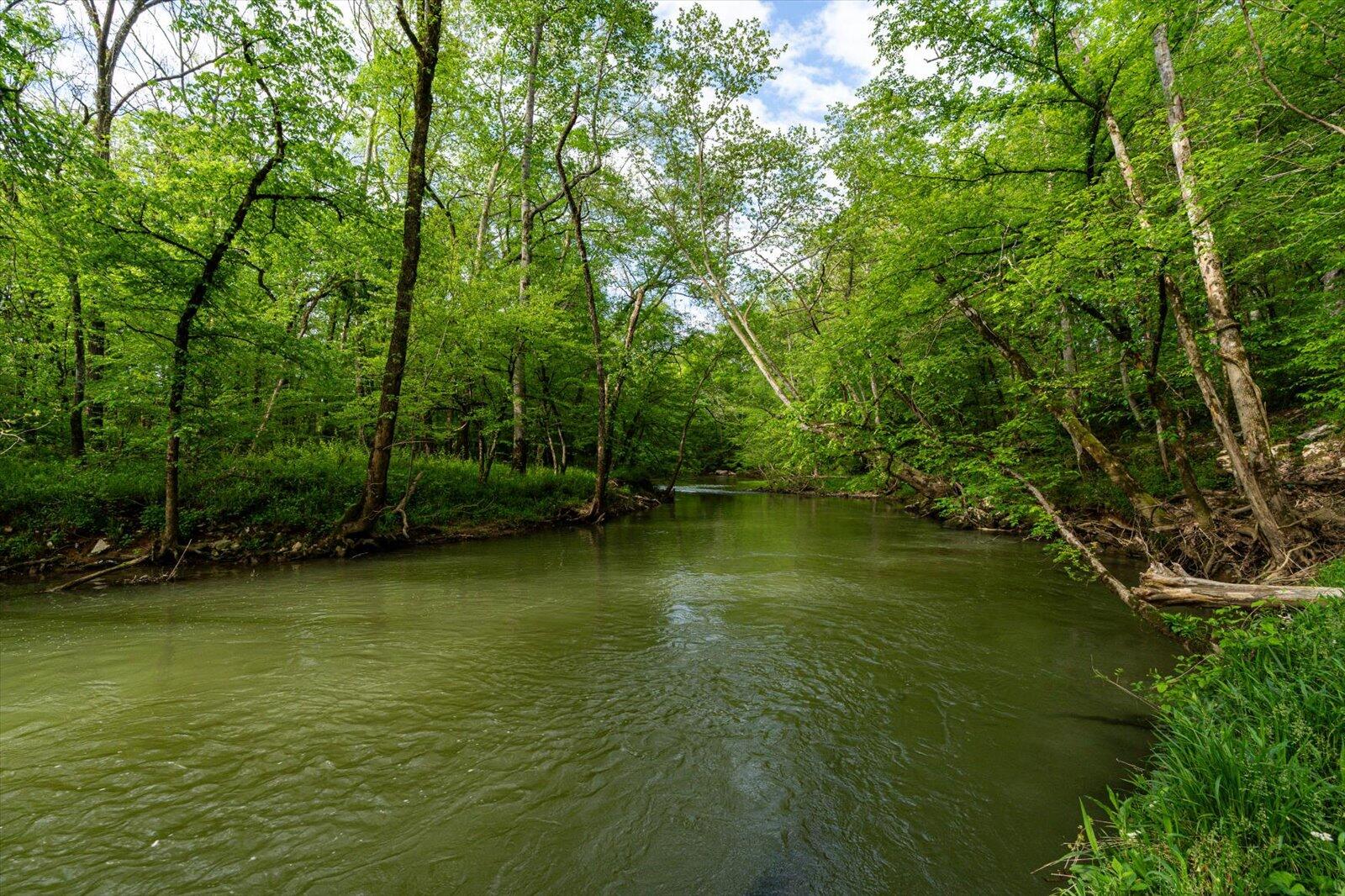 34 Mule Lane Pikeville, TN 37367 - Photo 29 of 87 29-US 127 Pikeville 510 Acres-29