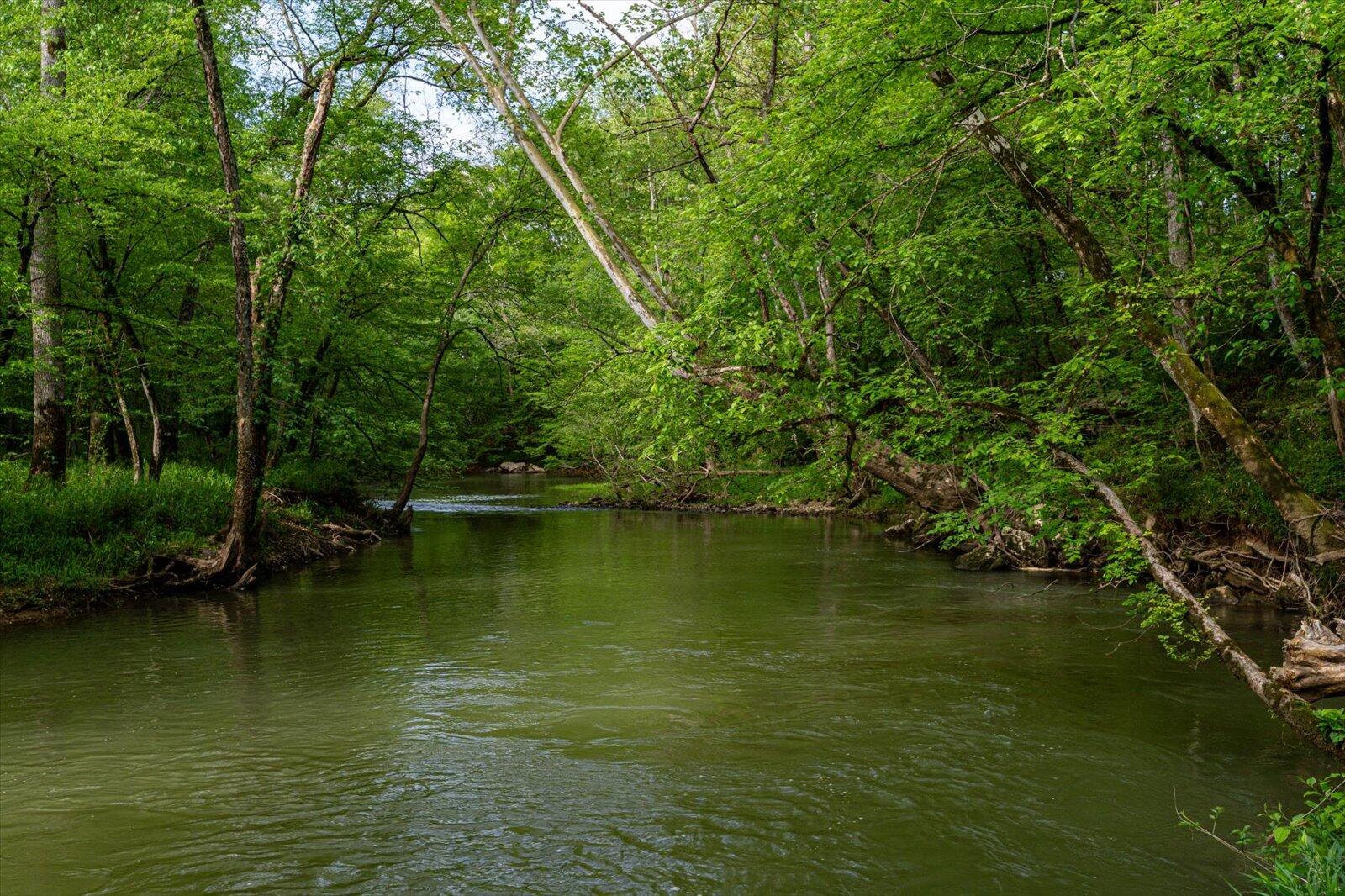 34 Mule Lane Pikeville, TN 37367 - Photo 30 of 87 30-US 127 Pikeville 510 Acres-30