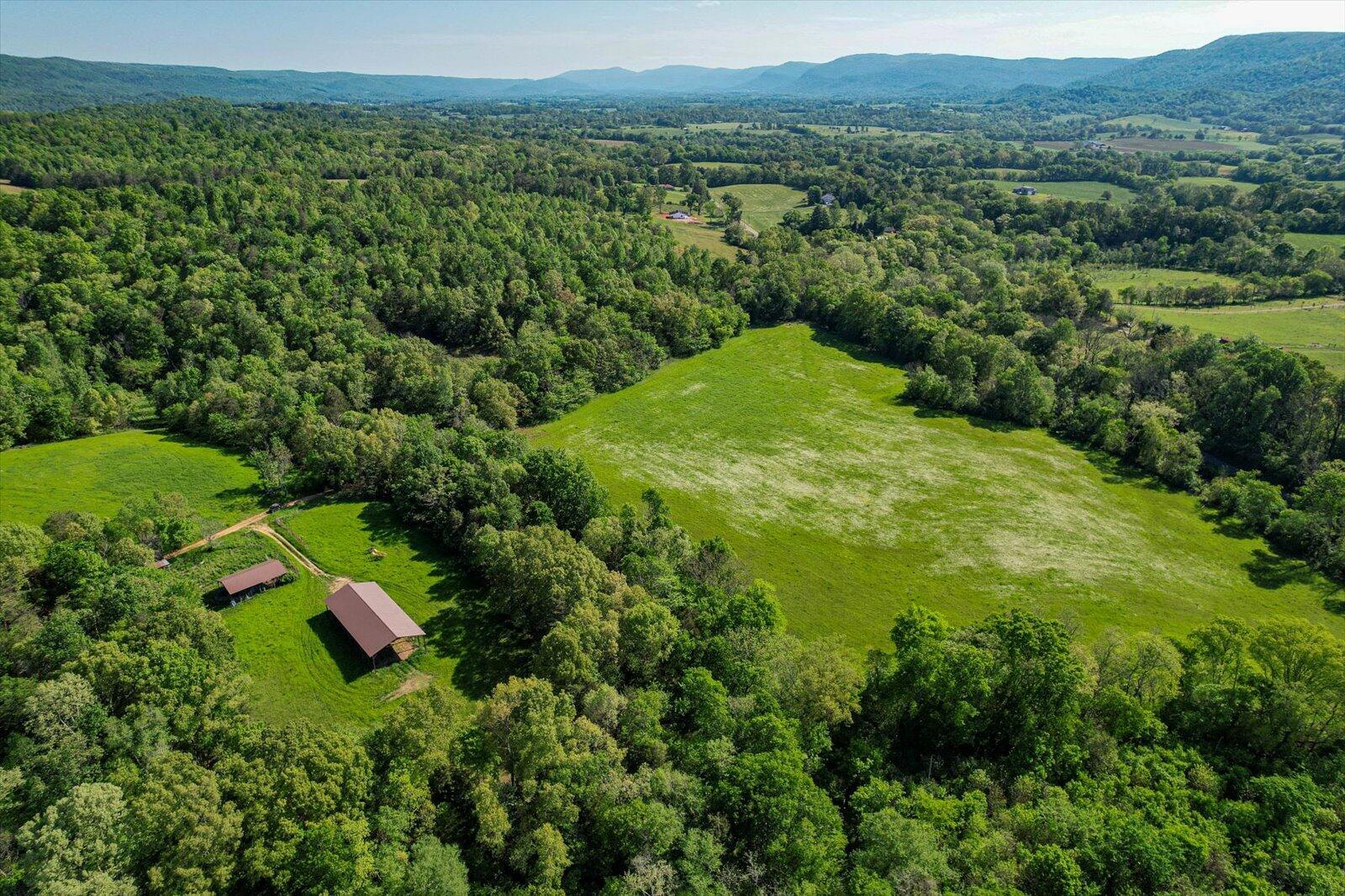 34 Mule Lane Pikeville, TN 37367 - Photo 3 of 87 03-US 127 Pikeville 510 Acres-3