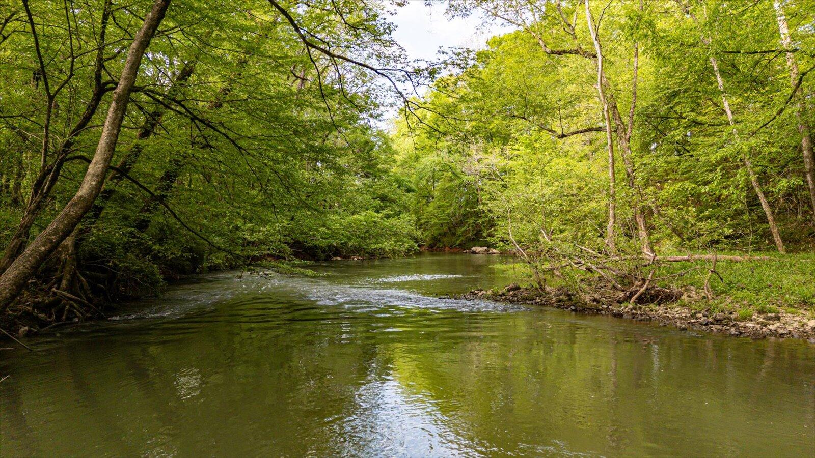 34 Mule Lane Pikeville, TN 37367 - Photo 36 of 87 36-US 127 Pikeville 510 Acres-36