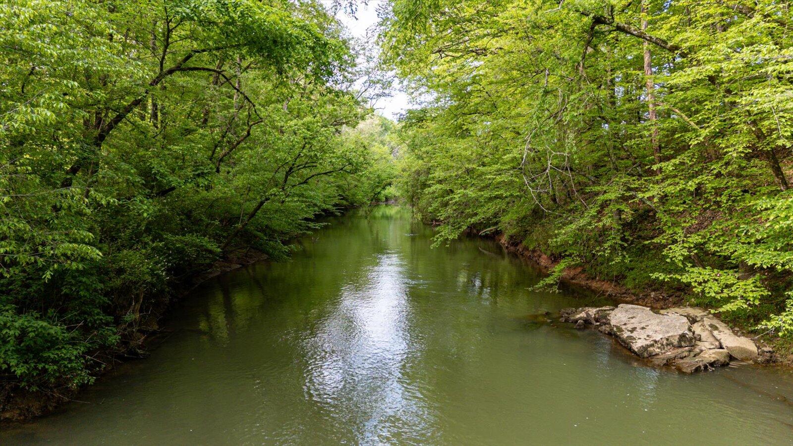 34 Mule Lane Pikeville, TN 37367 - Photo 37 of 87 37-US 127 Pikeville 510 Acres-37