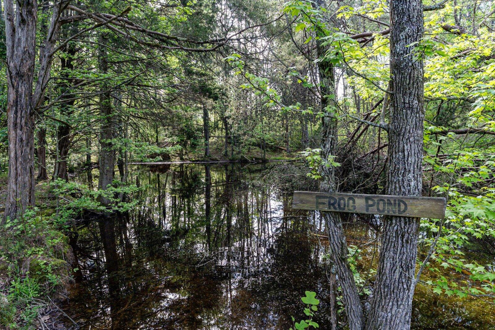 34 Mule Lane Pikeville, TN 37367 - Photo 39 of 87 39-US 127 Pikeville 510 Acres-39