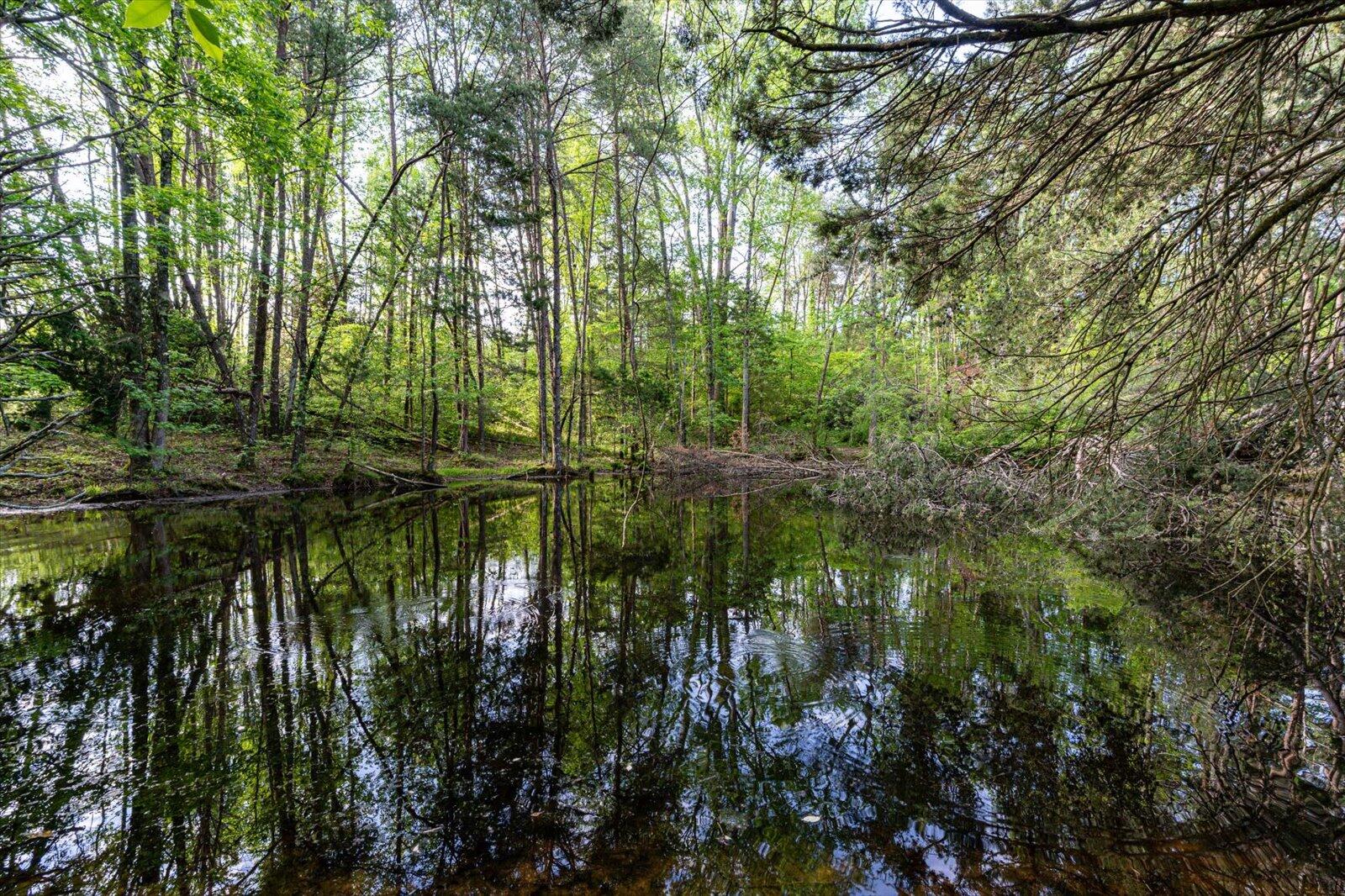 34 Mule Lane Pikeville, TN 37367 - Photo 40 of 87 40-US 127 Pikeville 510 Acres-40
