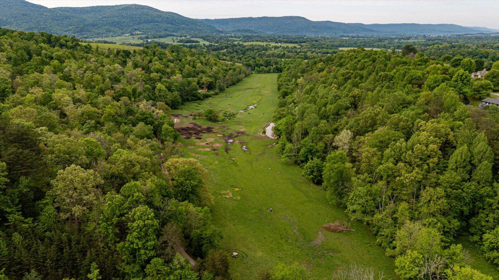 34 Mule Lane Pikeville, TN 37367 - Photo 46 of 87 46-US 127 Pikeville 510 Acres-46
