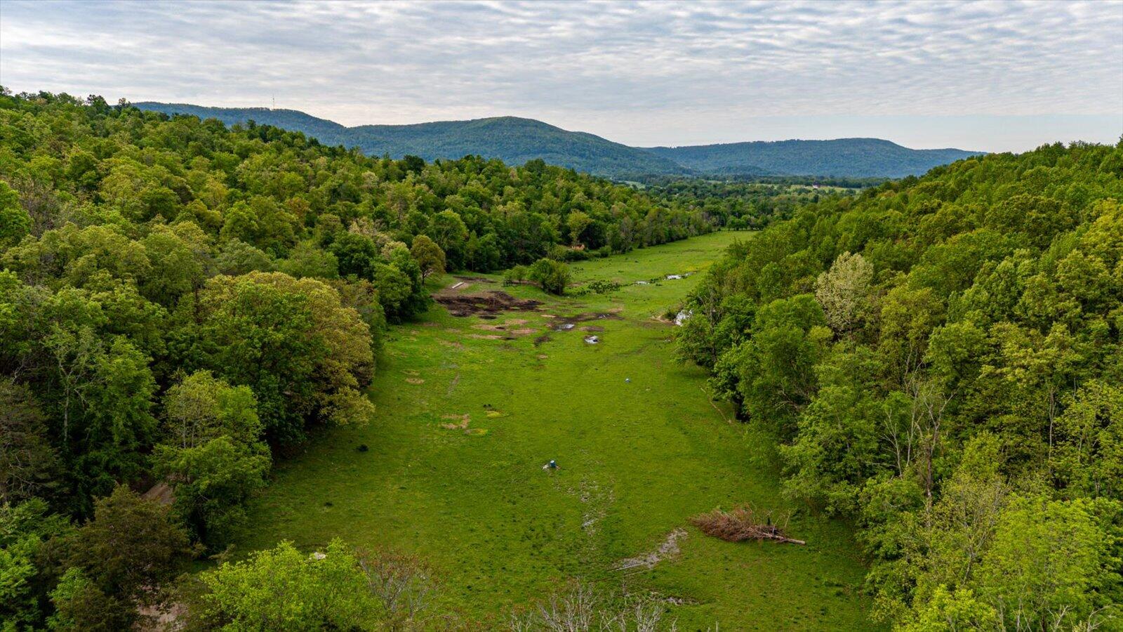 34 Mule Lane Pikeville, TN 37367 - Photo 47 of 87 47-US 127 Pikeville 510 Acres-47
