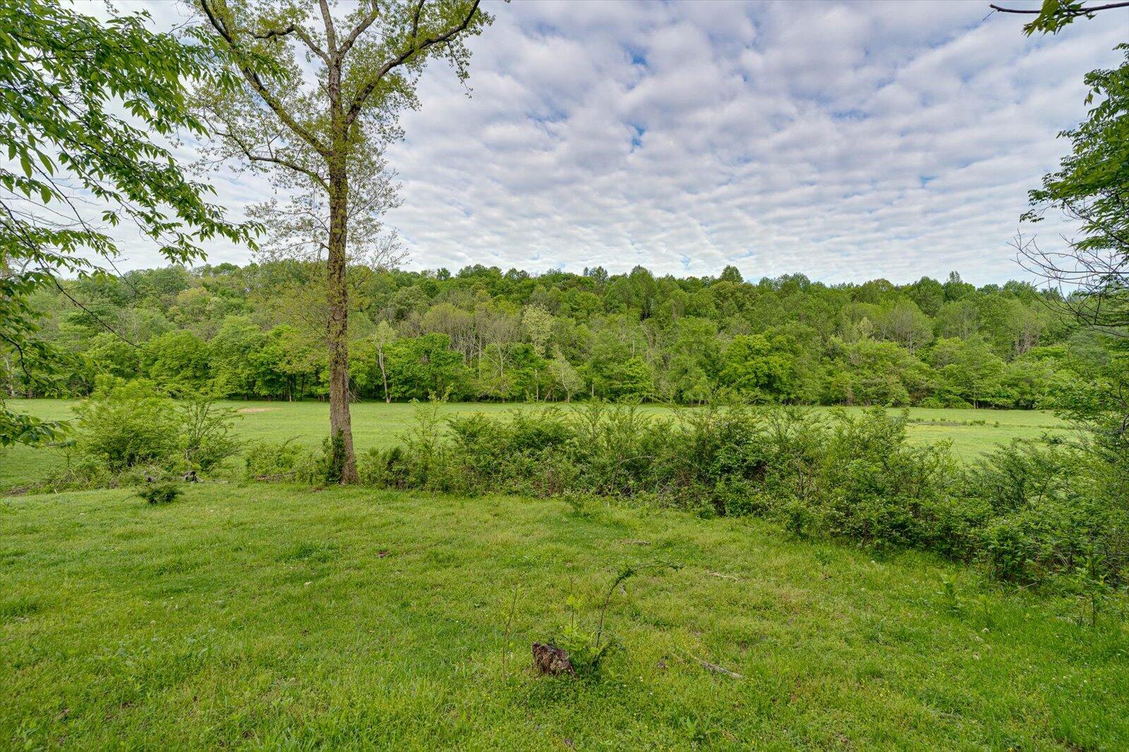 34 Mule Lane Pikeville, TN 37367 - Photo 48 of 87 48-US 127 Pikeville 510 Acres-48