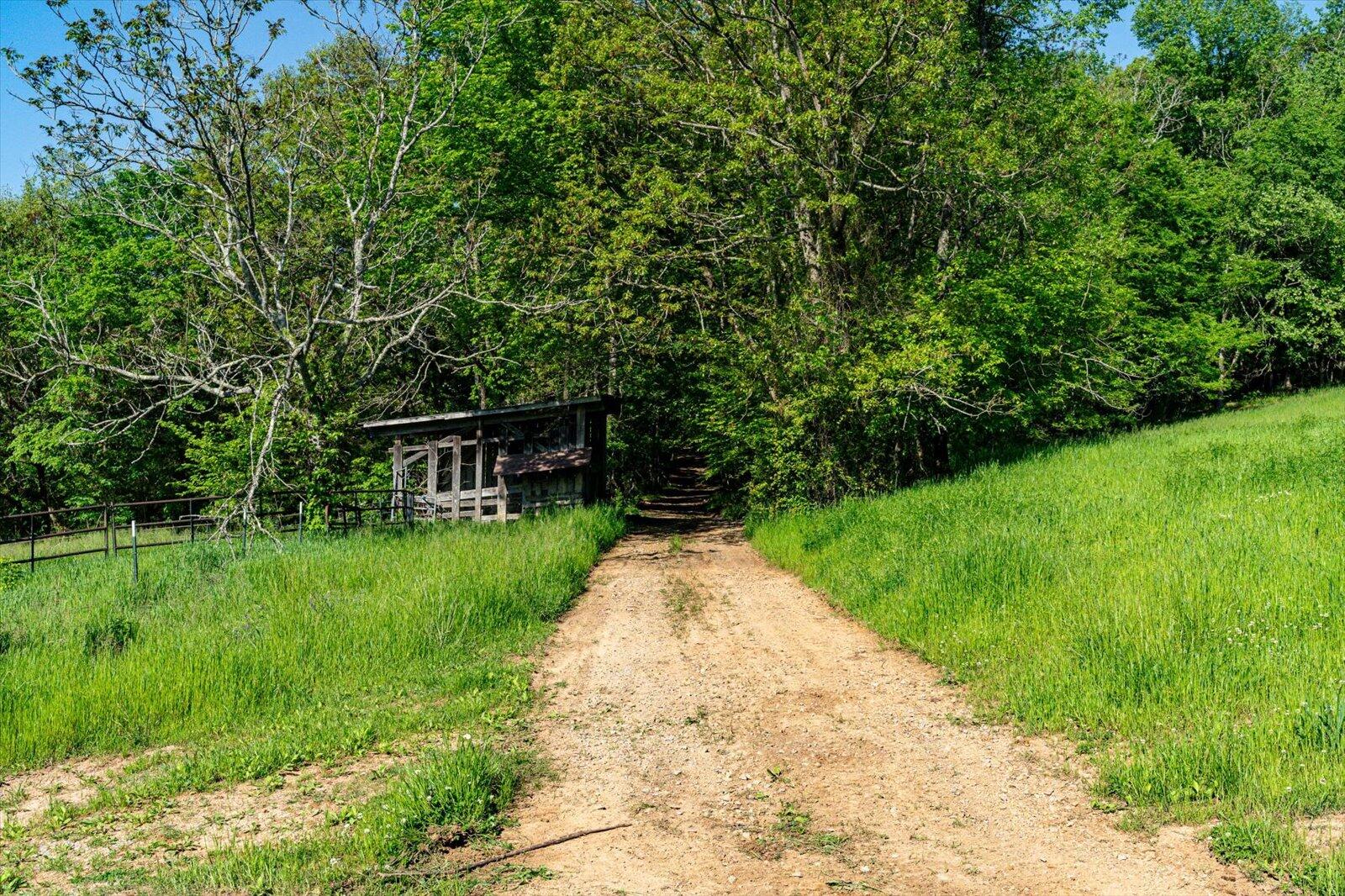 34 Mule Lane Pikeville, TN 37367 - Photo 54 of 87 54-US 127 Pikeville 510 Acres-54