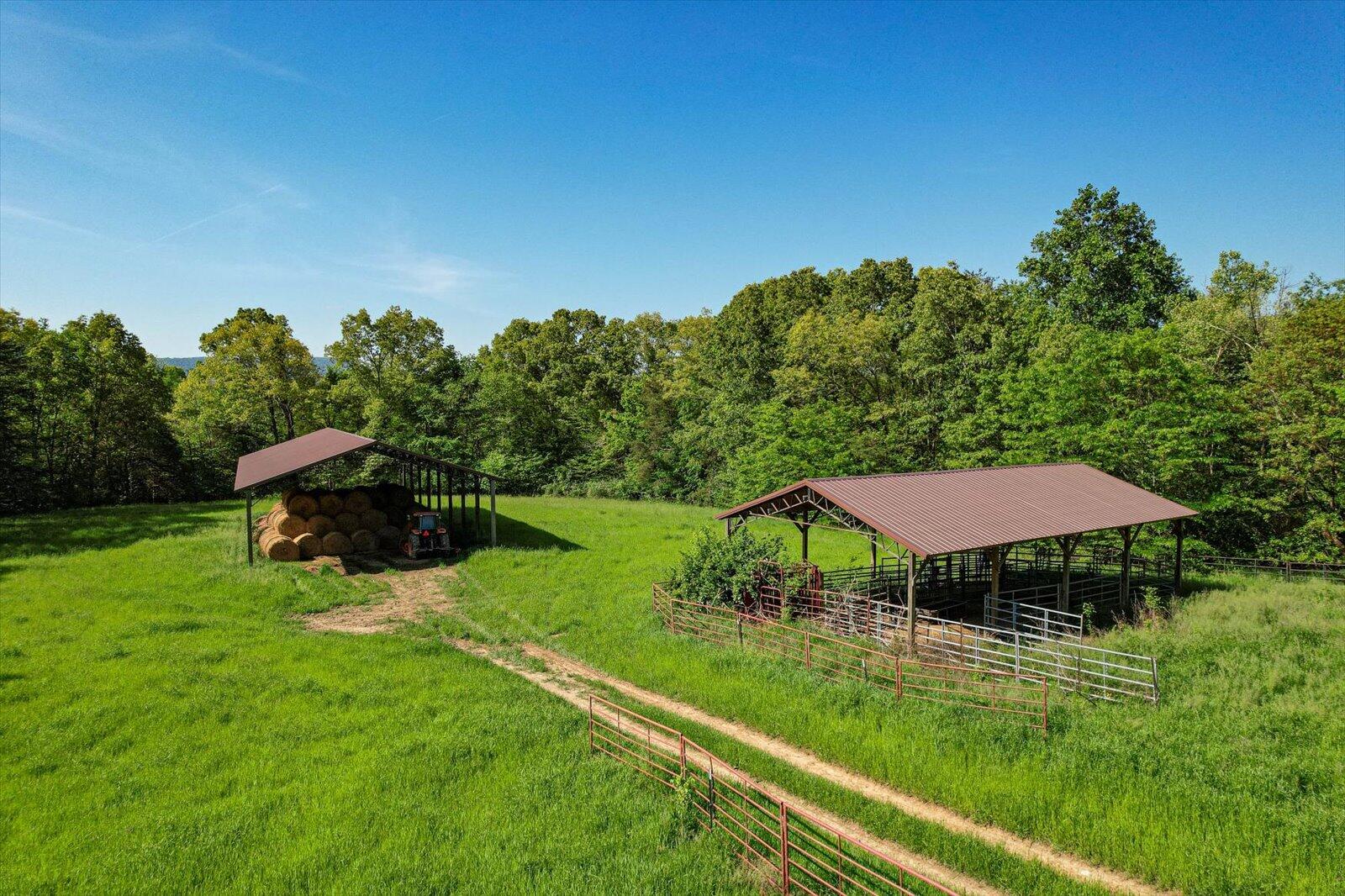 34 Mule Lane Pikeville, TN 37367 - Photo 55 of 87 55-US 127 Pikeville 510 Acres-55