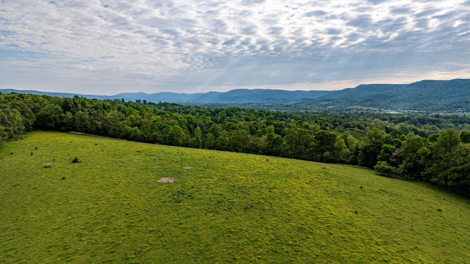 34 Mule Lane Pikeville, TN 37367 - Photo 57 of 87 57-US 127 Pikeville 510 Acres-57