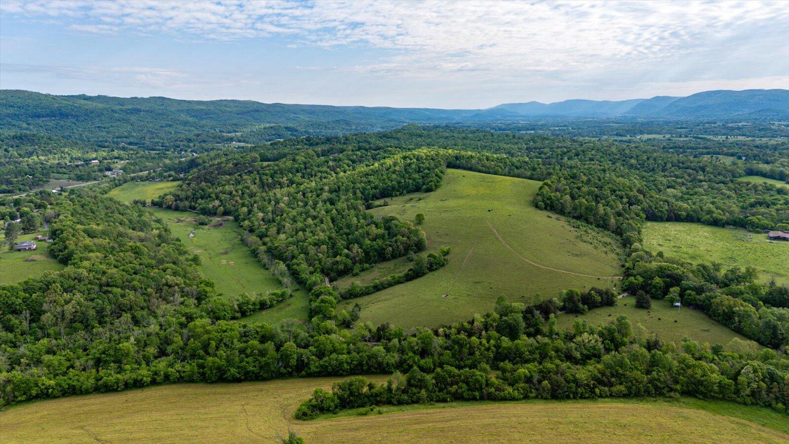 34 Mule Lane Pikeville, TN 37367 - Photo 60 of 87 60-US 127 Pikeville 510 Acres-60
