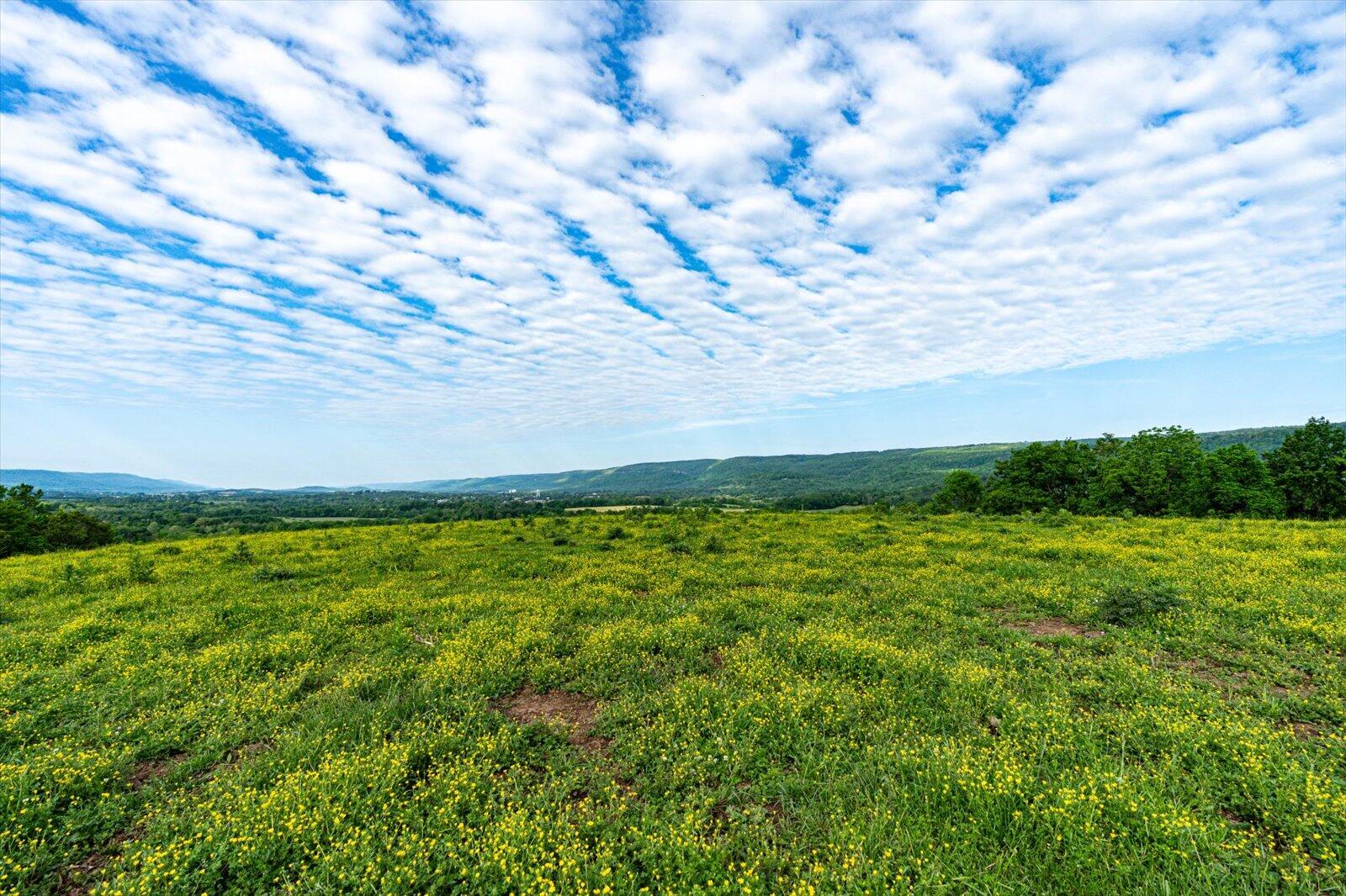 34 Mule Lane Pikeville, TN 37367 - Photo 6 of 87 06-US 127 Pikeville 510 Acres-6