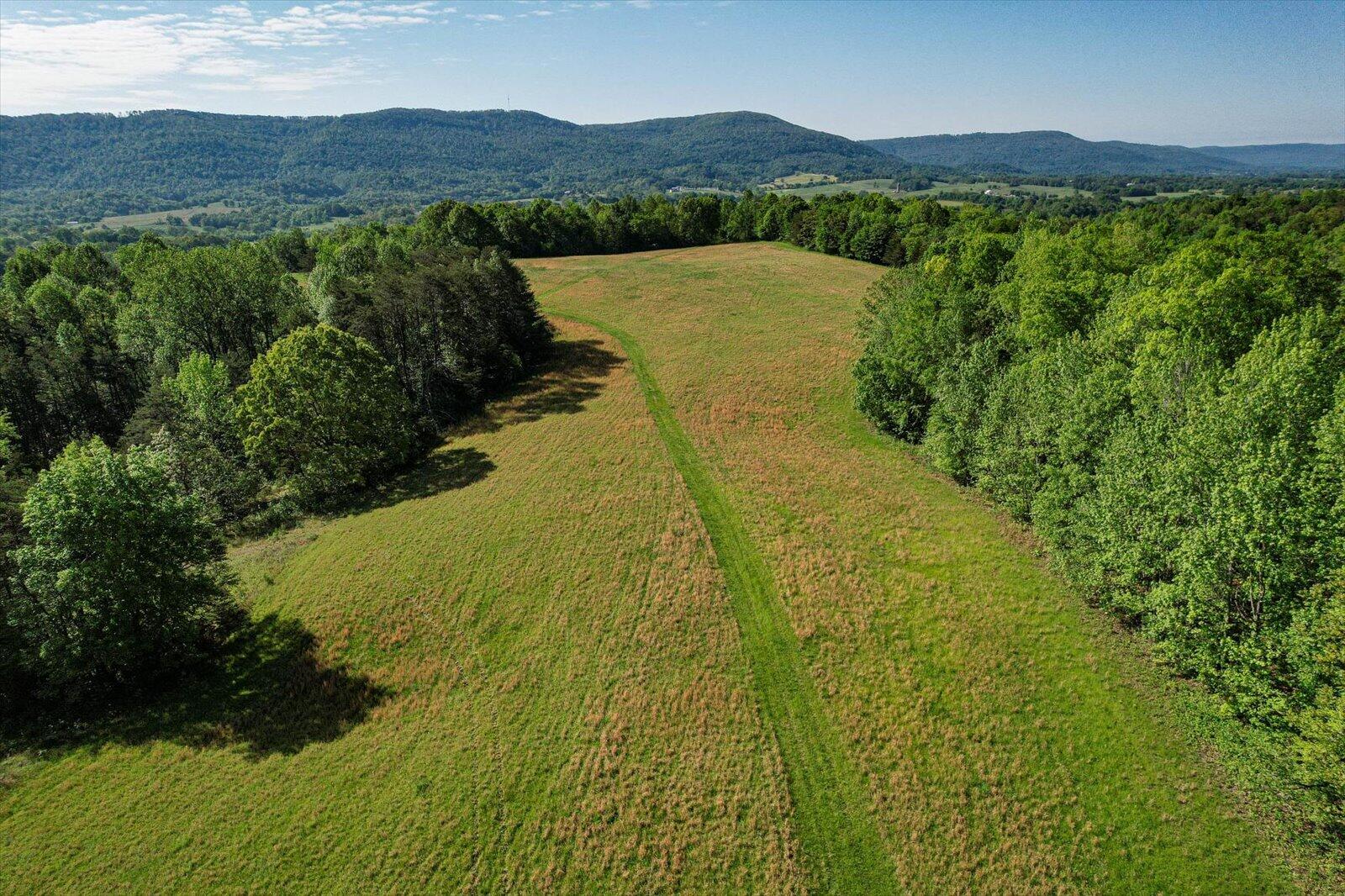 34 Mule Lane Pikeville, TN 37367 - Photo 78 of 87 78-US 127 Pikeville 510 Acres-78
