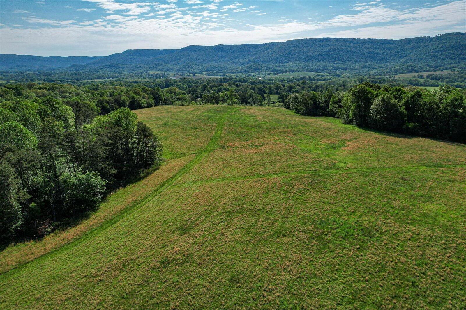 34 Mule Lane Pikeville, TN 37367 - Photo 79 of 87 79-US 127 Pikeville 510 Acres-79