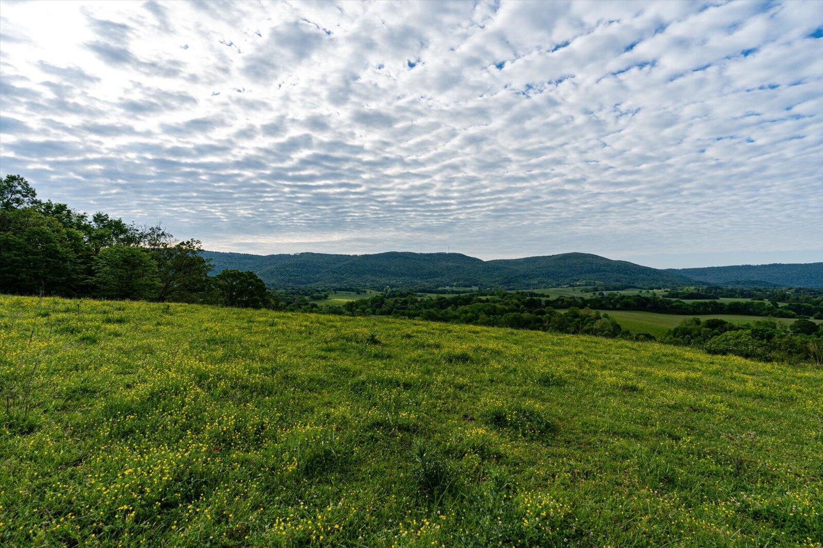 34 Mule Lane Pikeville, TN 37367 - Photo 8 of 87 08-US 127 Pikeville 510 Acres-8