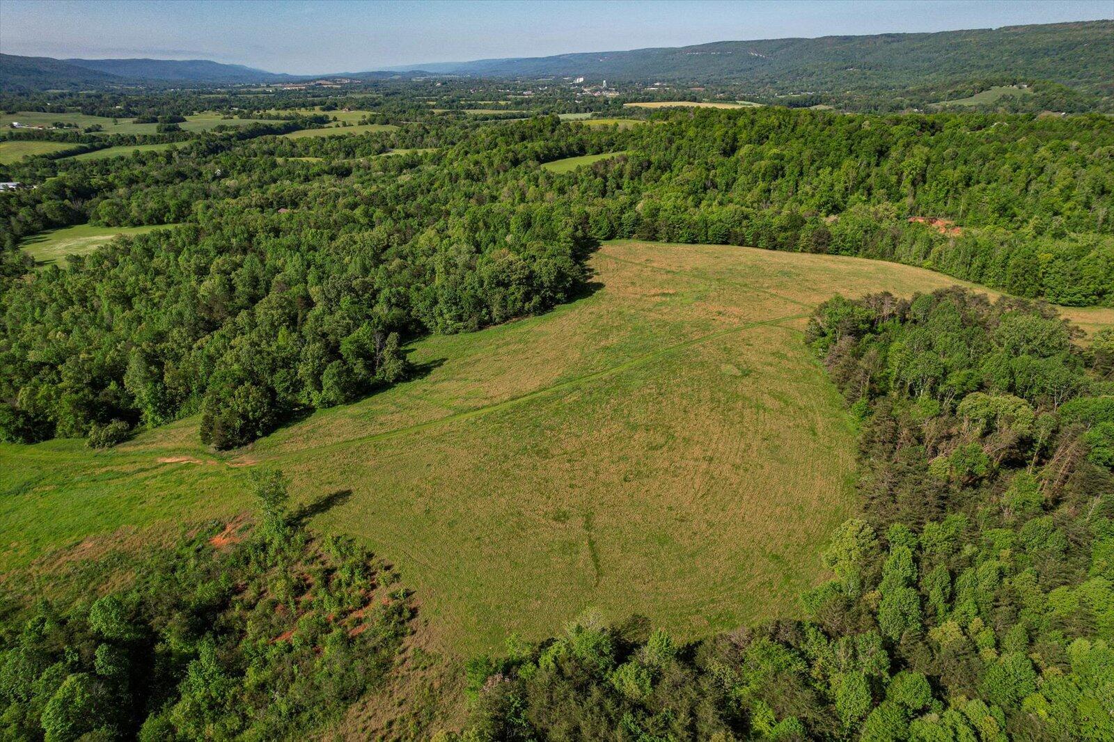 34 Mule Lane Pikeville, TN 37367 - Photo 81 of 87 81-US 127 Pikeville 510 Acres-81