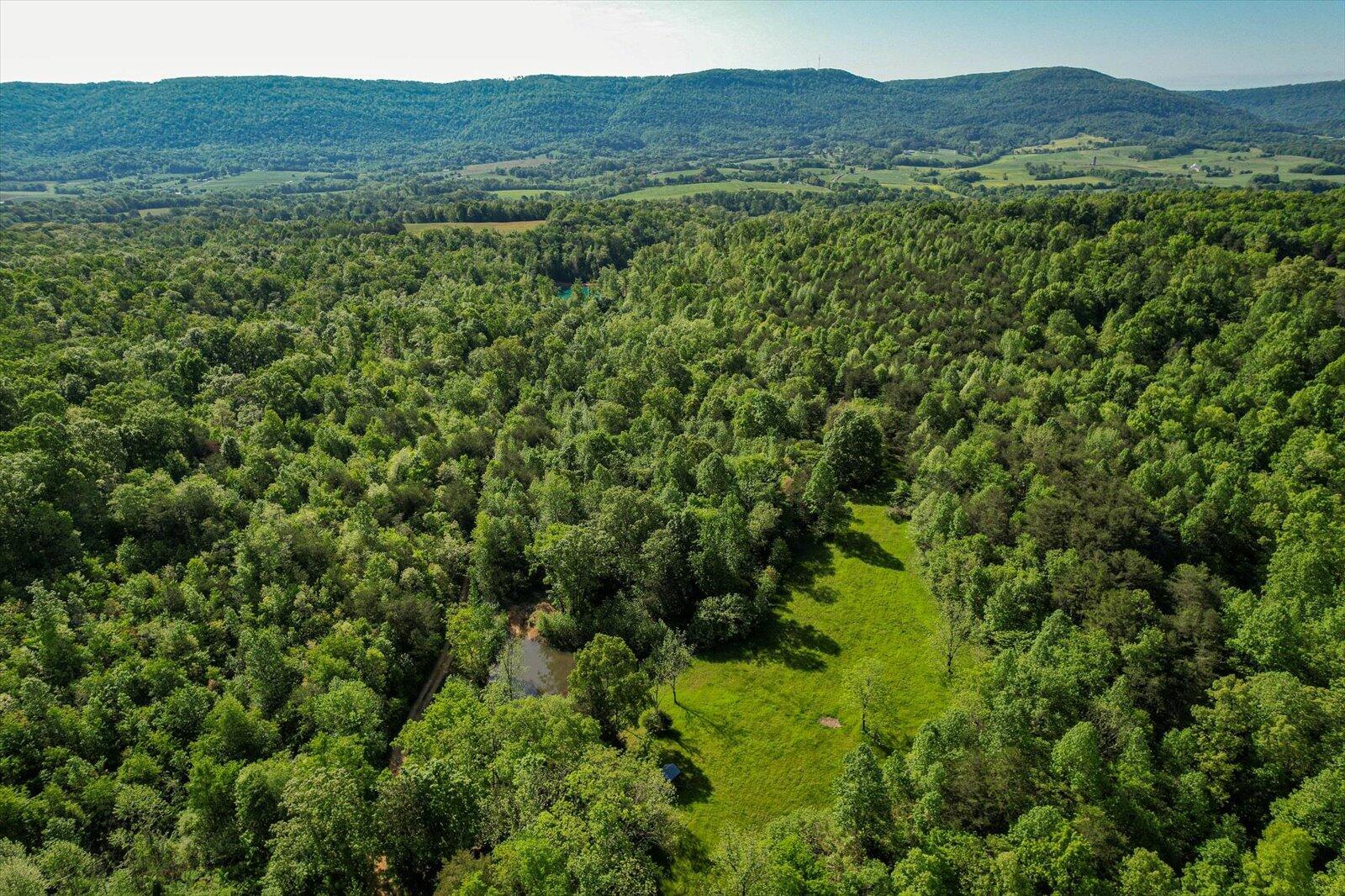 34 Mule Lane Pikeville, TN 37367 - Photo 86 of 87 86-US 127 Pikeville 510 Acres-86