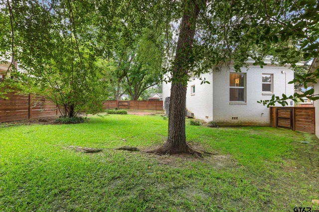 a view of a backyard with large tree