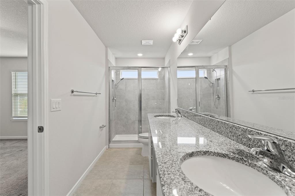 31329 Amberview Bend Wesley Chapel, FL 33545 - Photo 19 of 57 a bathroom with a granite countertop sink mirror and shower